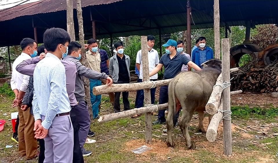 Yên Minh: Tập huấn ngoài hiện trường kỹ thuật tiêm phòng Vắc xin cho đàn gia súc, gia cầm