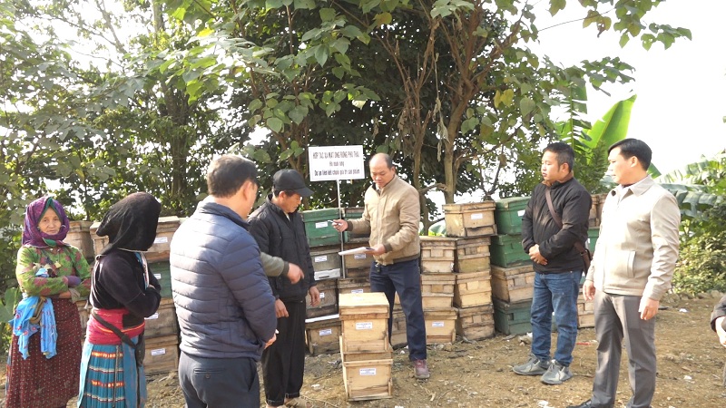 Yên Minh hỗ trợ sản xuất liên kết nuôi Ong theo chuỗi giá trị gắn với tiêu thụ sản phẩm