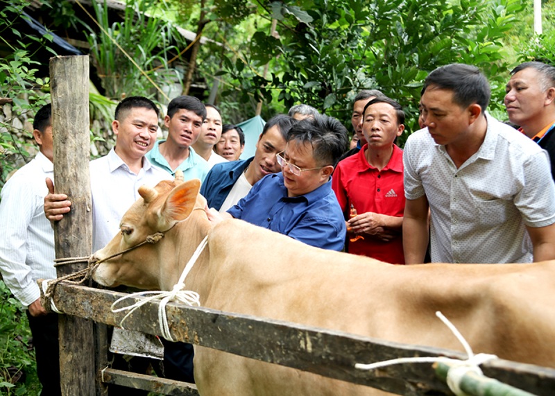 Yên Minh chú trọng phòng, chống dịch bệnh trên đàn vật nuôi