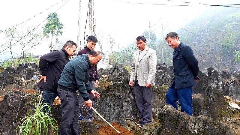 Hướng dẫn kỹ thuật trồng cây Lê tại xã Sủng Cháng