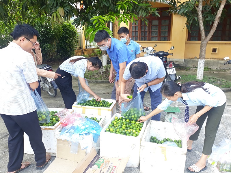 Hội Nông dân huyện Yên Minh hỗ trợ tiêu thụ quả chanh cho nông dân tỉnh Hà Tĩnh
