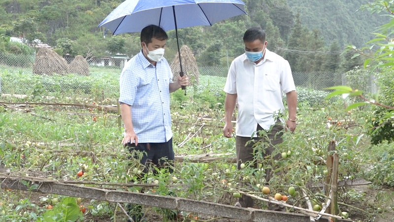 Chủ tịch UBND huyện Yên Minh kiểm tra chương trình cải tạo vườn tạp tại xã Lũng Hồ
