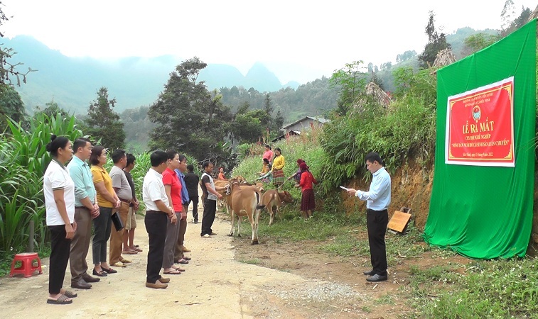Lễ ra mắt Chi hội nghề nghiệp “Nông dân nuôi bò cái sinh sản luân chuyển” tại thôn Khai Hoang I, xã Hữu Vinh, huyện Yên Minh