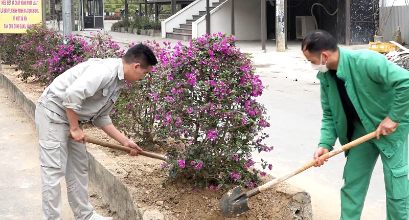 Yên Minh trồng cây hoa cảnh quan tạo điểm nhấn du lịch