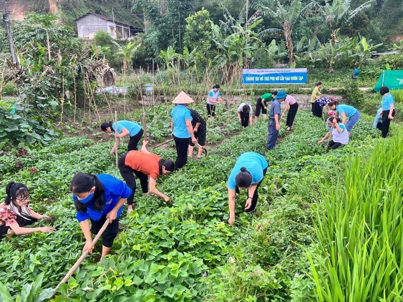 Hội Liên hiệp Phụ nữ tỉnh tổ chức ra quân hỗ trợ cải tạo vườn tạp tại thị trấn Yên Minh