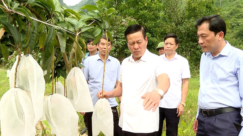 Chủ tịch UBND tỉnh thăm mô hình phát triển kinh tế, điểm tham quan phục vụ khách du lịch và quy hoạch chợ trung tâm thị trấn Yên Minh